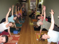 Cats_wkshp_groupsideplank