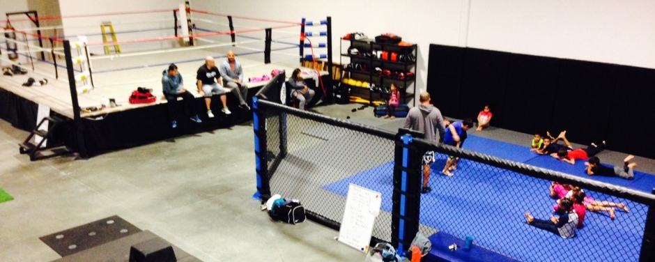 w-cage & ring