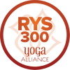 RYS 300-BASIC-ORANGE-100