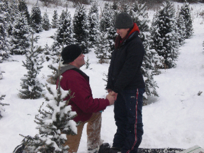 Twin Cities Christmas Tree Farm | Cut Your Own, Family Fun & More