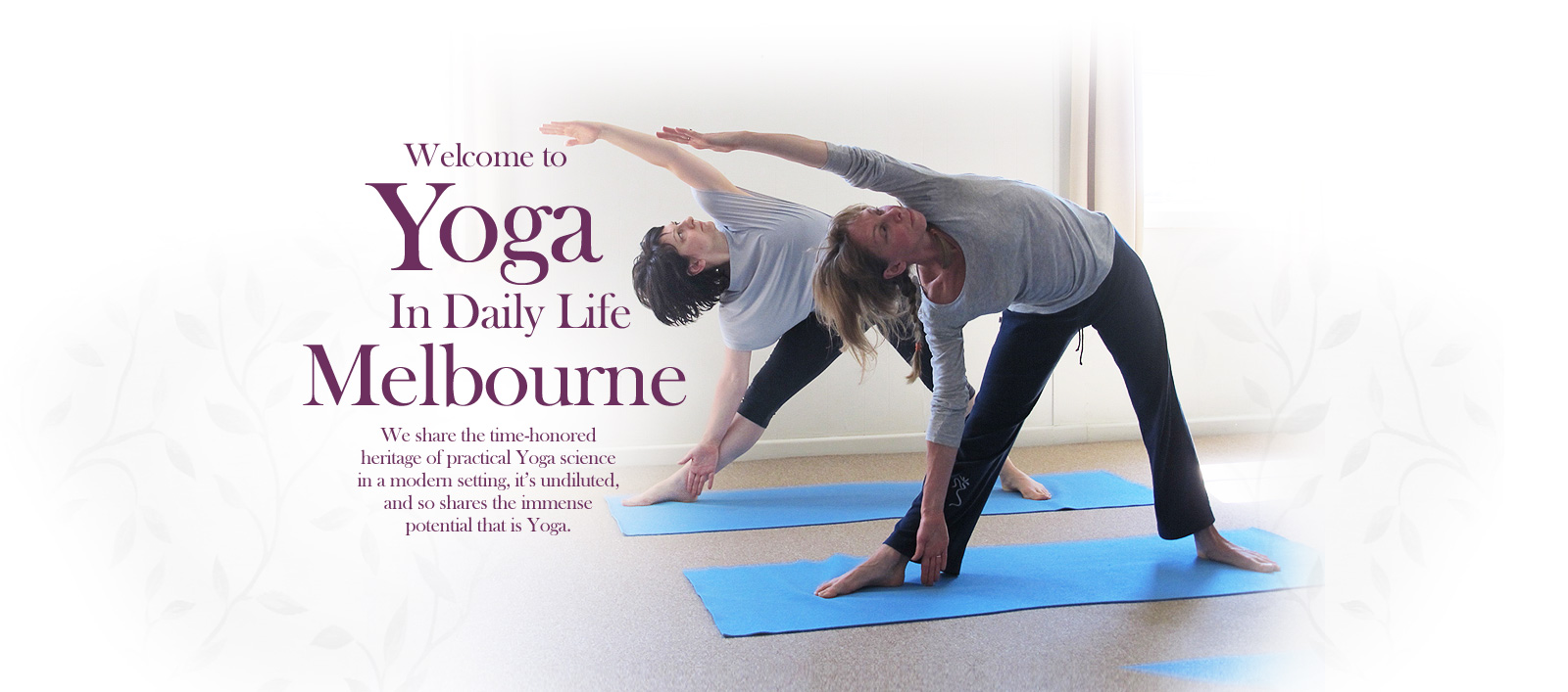 Yoga In Daily Life Melbourne Authentic Yoga Meditation