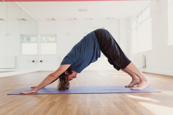 Hatha Yoga - YogaVenue